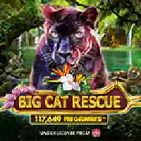 Big Cat Rescue Megaways